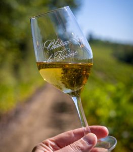 Château la Varière - Dégustation du Cabernet d'Anjou au coeur du vignoble