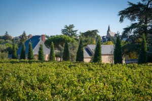 Château la Varière - Vue sur une partie du vignoble